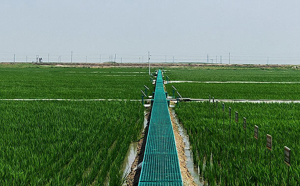 生物實(shí)驗(yàn)室的污水處理設(shè)備